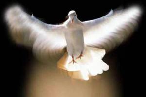 The Holy Spirit in the Form of a Dove